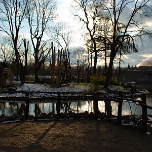 Orang-Utan outdoor enclosure