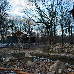 Bactrian Camel enclosure