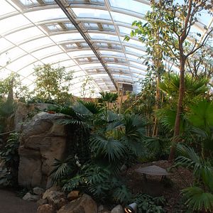 Inside the Ele-Tropicalhall