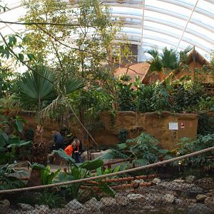 Inside the ELE-Tropicalhall