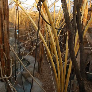 Orang-Utan indoor enclosure 1