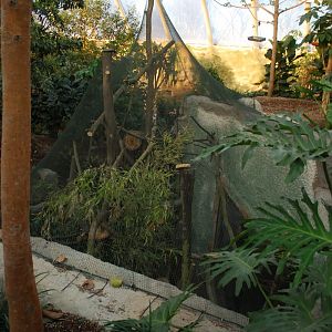 Above the squirrel exhibit