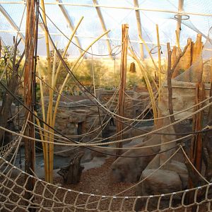 Orang-Utan indoor enclosure 1