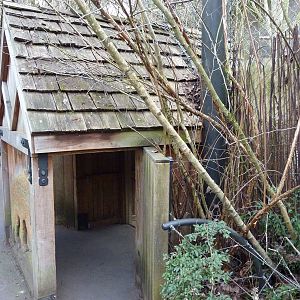 Amur Leopard Exhibit - Viewing Shelter