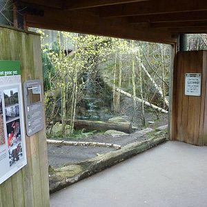 Amur Leopard Exhibit
