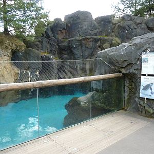 Sea Otter Exhibit