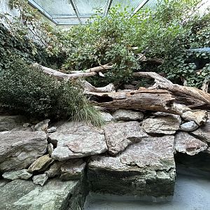 Viperine & Aesculpian Snake Exhibit