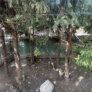 European Wildcat Exhibit