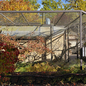 Tamarin + marmoset outdoor exhibit
