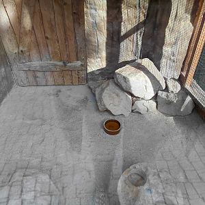 Sand cat indoor exhibit