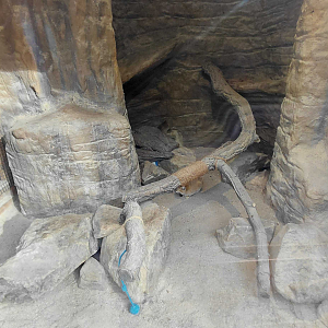 Sand cat indoor exhibit