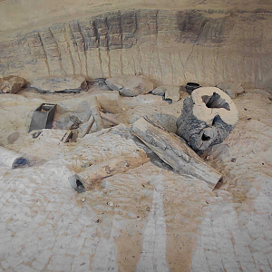 Meerkat indoor exhibit