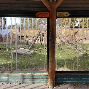 Patas monkey exhibit - viewing area