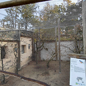 African aviary