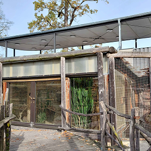 Rock hyrax + lovebird exhibit