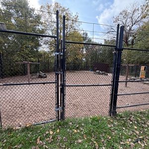 miniature donkey and ostrich exhibit