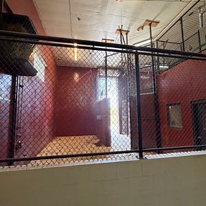 indoor giraffer stall