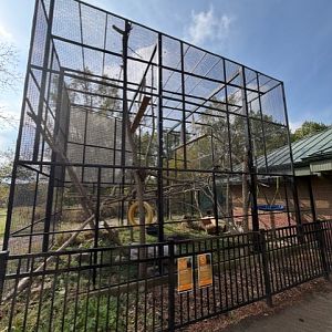 outdoor wolf's geuneon and allens swamp monkey enclosure