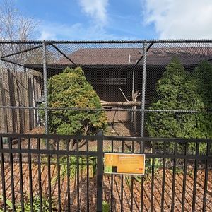 indian blue peacock exhibit