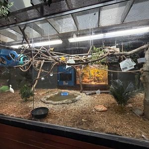 mixed species exhibit