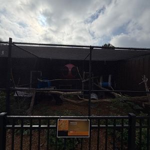 binturong exhibit