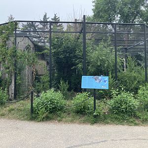 Grasslands & Boreal Forests - Sandhill Crane Exhibit