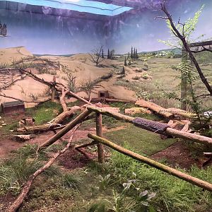 Grasslands & Boreal Forests - Burrowing Owl Exhibit
