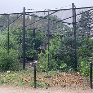Grasslands & Boreal Forests - Sandhill Crane Exhibit