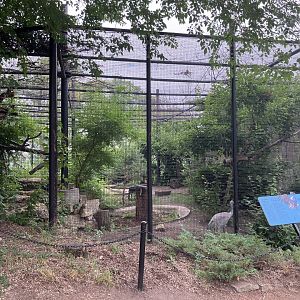 Grasslands & Boreal Forests - Sandhill Crane Exhibit