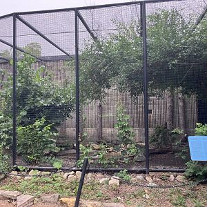 Grasslands & Boreal Forests - Snow Goose Exhibit