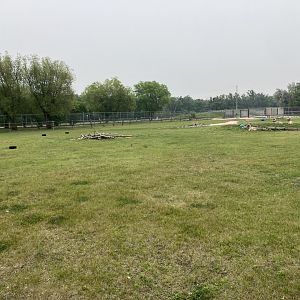 Grasslands & Boreal Forests - Rocky Mountain Bighorn Sheep Exhibit