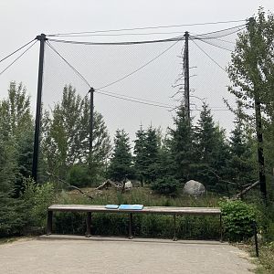 Journey to Churchill - Snowy Owl Aviary