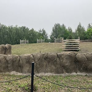 Journey to Churchill - Reindeer Exhibit