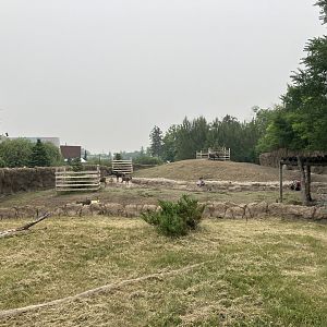 Journey to Churchill - Reindeer Exhibit