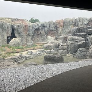 Journey to Churchill - Polar Bear Exhibit #2