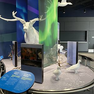 Journey to Churchill - Interpretive Display