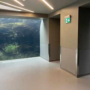 Journey to Churchill - Underwater Viewing