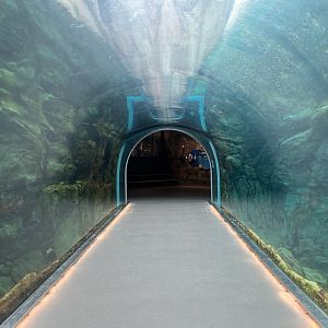 Journey to Churchill - Polar Bear Tunnel