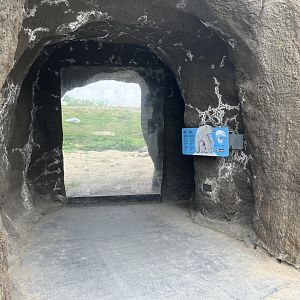 Journey to Churchill - Polar Bear Viewing