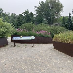 Journey to Churchill - Garden