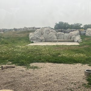 Journey to Churchill - Polar Bear Exhibit #3