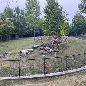 Open Range - Llama/Domestic Goat Exhibit