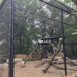 Asia - Red Panda Exhibit #1