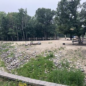 Asia - Red Kangaroo Exhibit