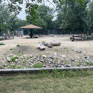 Asia - Red Kangaroo Exhibit