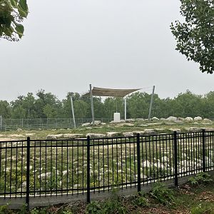 Asia - Sichuan Takin Exhibit