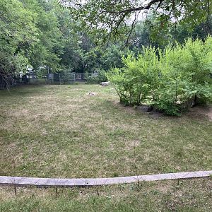 Open Range - Common Wallaroo Exhibit
