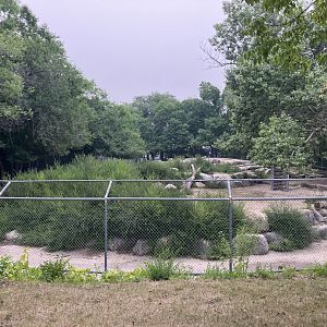 Open Range - West Caucasian Tur Exhibit