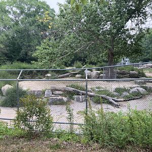 Open Range - West Caucasian Tur Exhibit