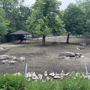 Open Range - Guanaco Exhibit